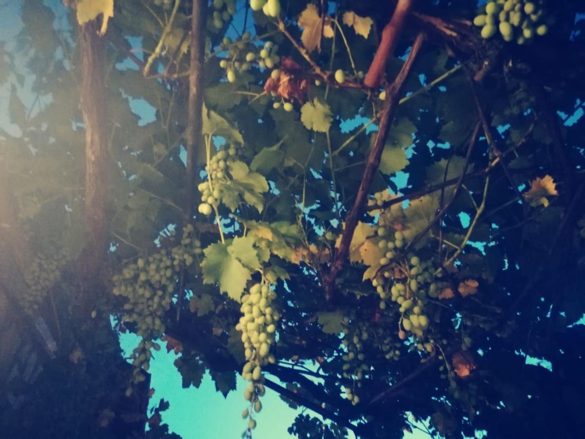Casetta Nel Podere Di Massi Barberino di Mugello Bagian luar foto