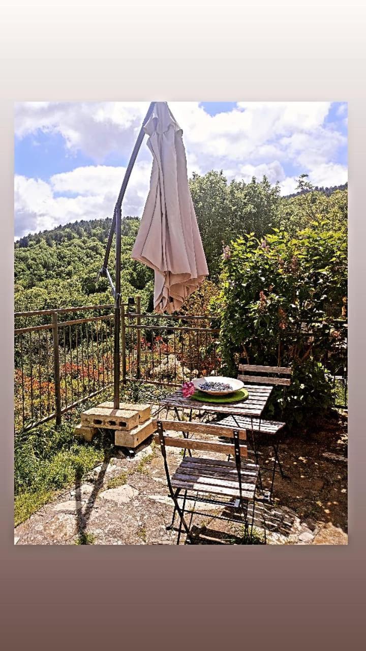 Casetta Nel Podere Di Massi Barberino di Mugello Bagian luar foto
