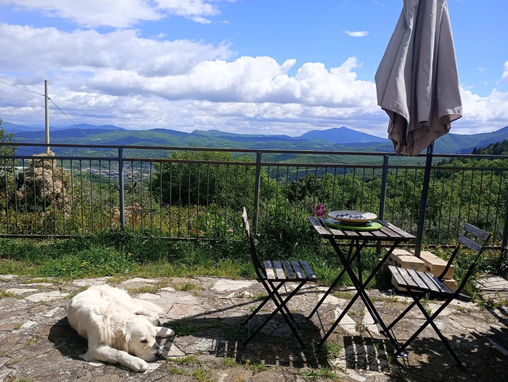 Casetta Nel Podere Di Massi Barberino di Mugello Bagian luar foto